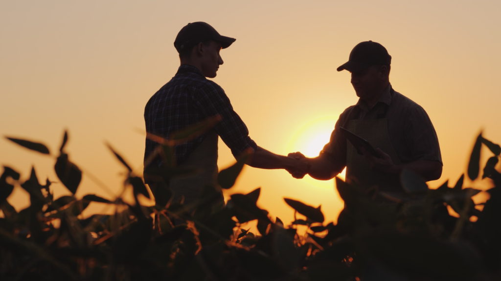 Silhouette of two males discussing business on a field and shaking hands.