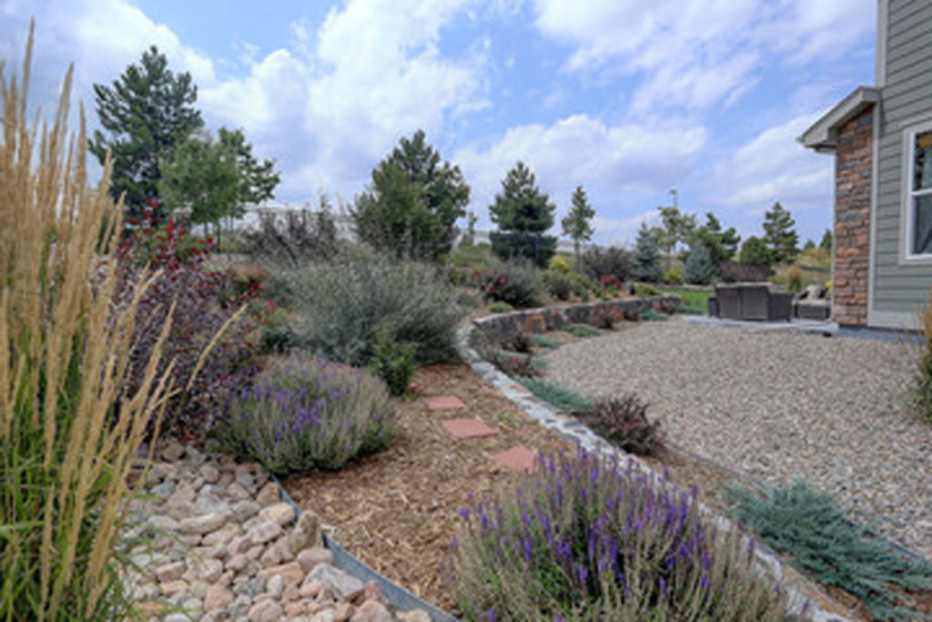 Landscape rocks and plants used in a DIY landscape design in New Mexico.