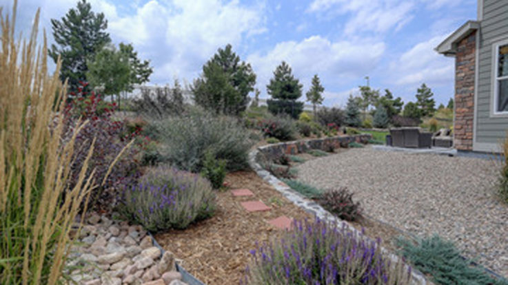 7 Ways to Use Rocks in Your New Mexico Landscape