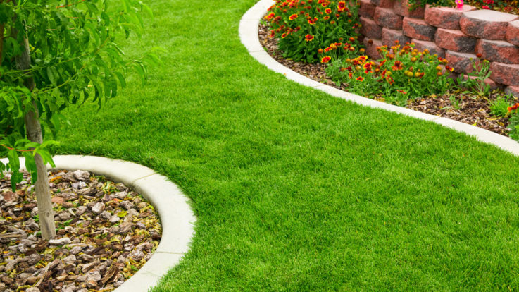 7 Ways to Upgrade Your Hobbs Landscape This Spring