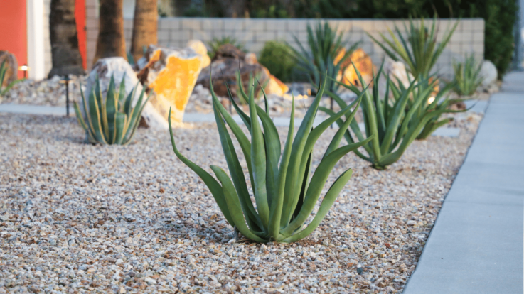 Top Uses for Sand and Gravel in Construction and Landscaping