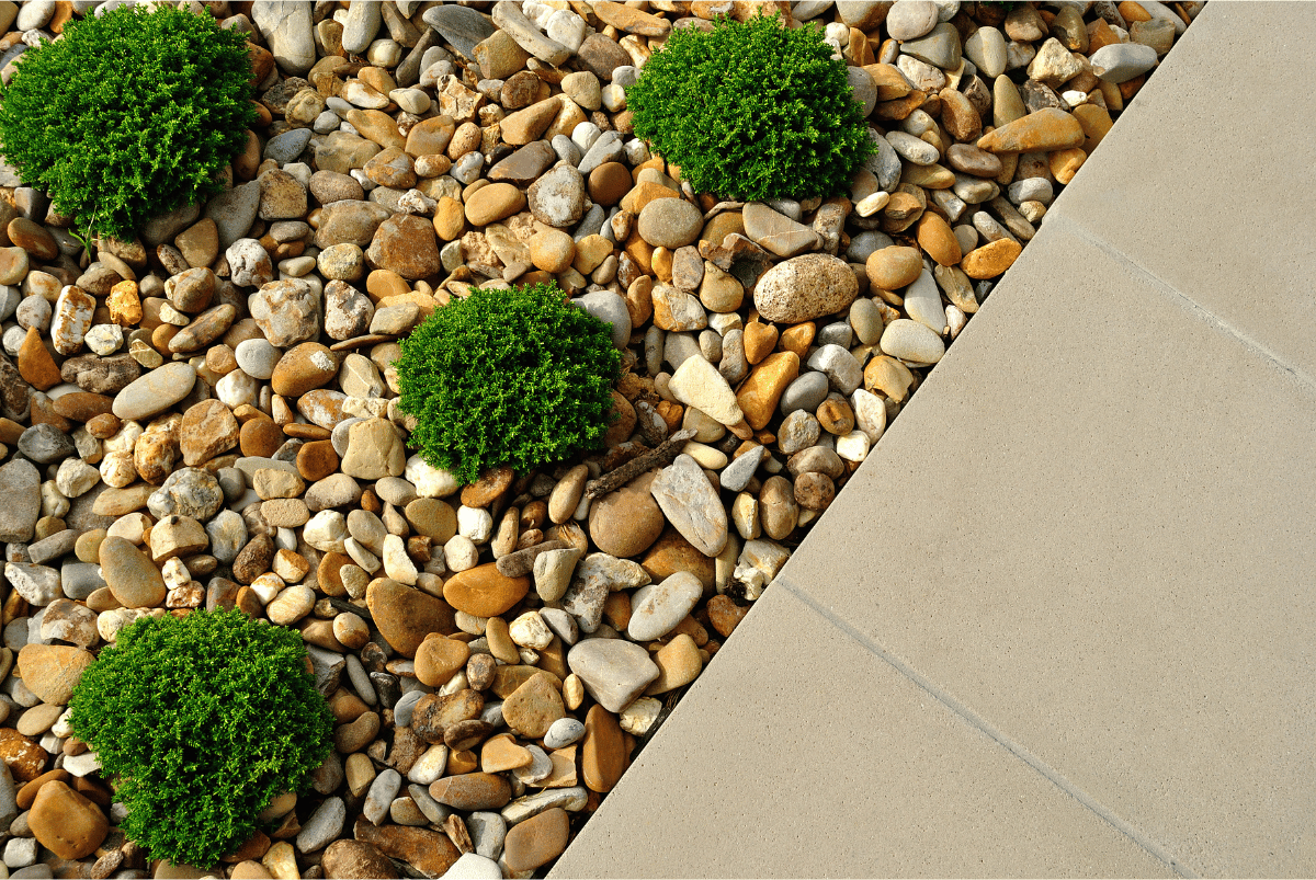 Rock and plant home landscape